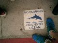 ハワイで見つけた「No Dumping」のサインの方がかわいかったぞ。