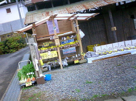 無人の売店、堀川ごぼうを売っています。キレイに並べられていて印象的。